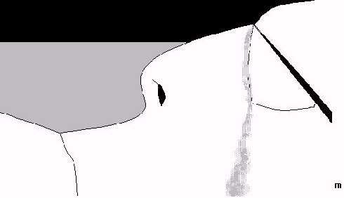 Lacrima