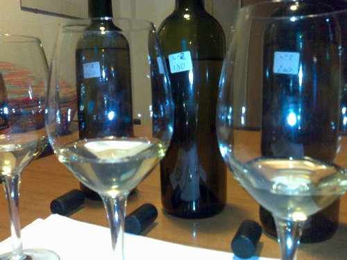Nascita di un vino di poggio argentiera Nascita di un vino di poggio argentiera