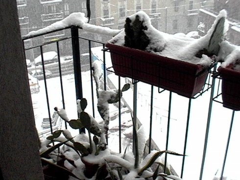 Neve a Milano
