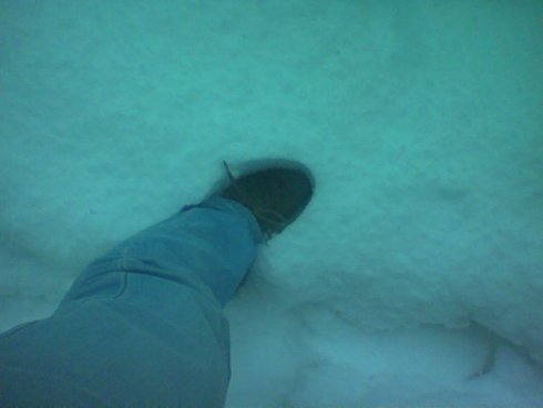 Tuttogratis Neve Tuttogratis Neve