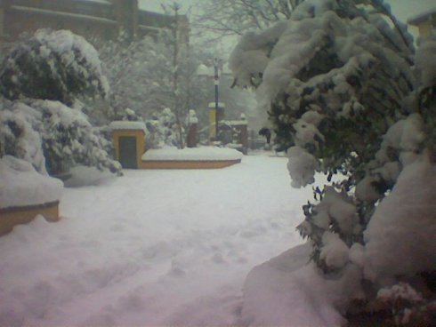 Tuttogratis Neve Tuttogratis Neve
