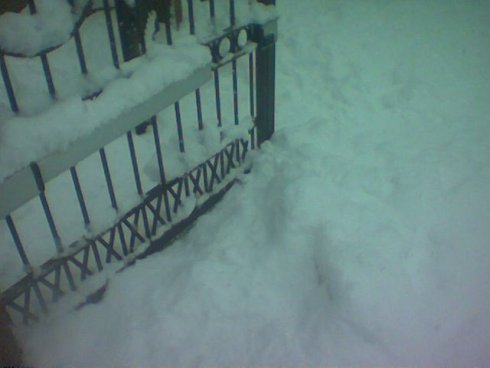 Tuttogratis Neve Tuttogratis Neve