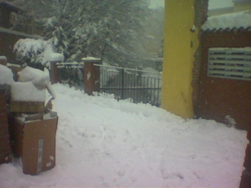 Tuttogratis Neve Tuttogratis Neve